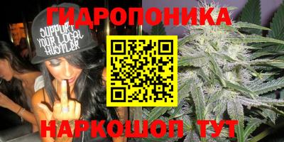 хмурый Краснознаменск