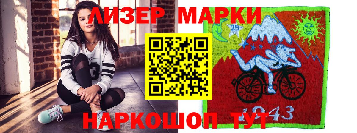 Псилоцибиновые грибы Кингисепп
