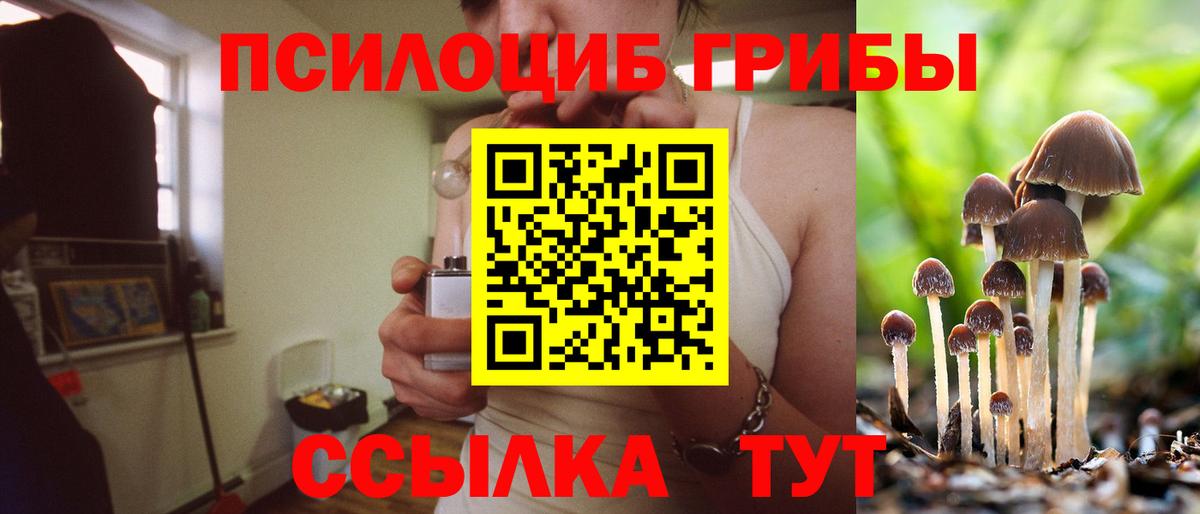магазин продажи   Галлюциногенные грибы мицелий  Вход с VPN  Кингисепп 