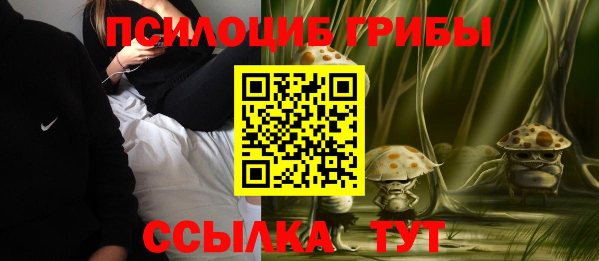 Псилоцибиновые грибы GOLDEN TEACHER Кингисепп